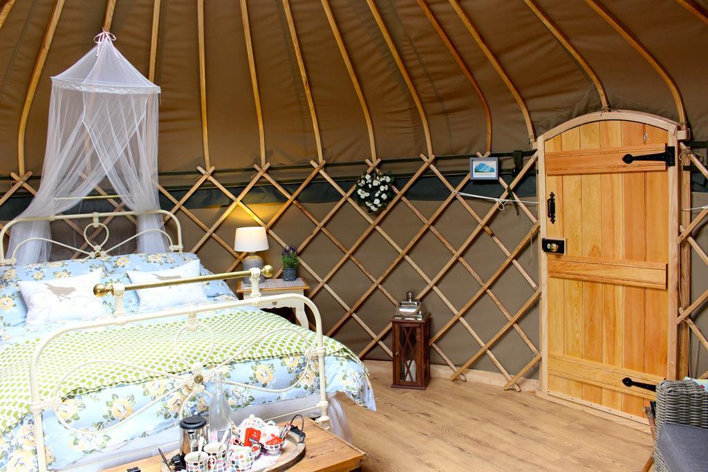 Sunbank Accommodation Лланголлен Экстерьер фото