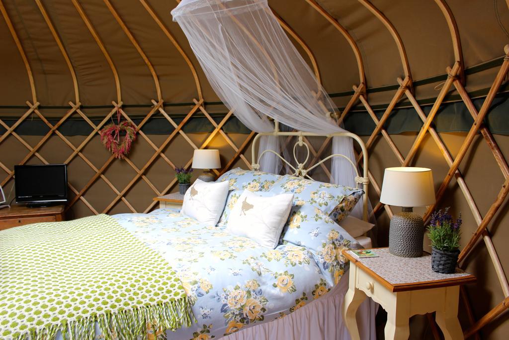 Sunbank Accommodation Лланголлен Экстерьер фото