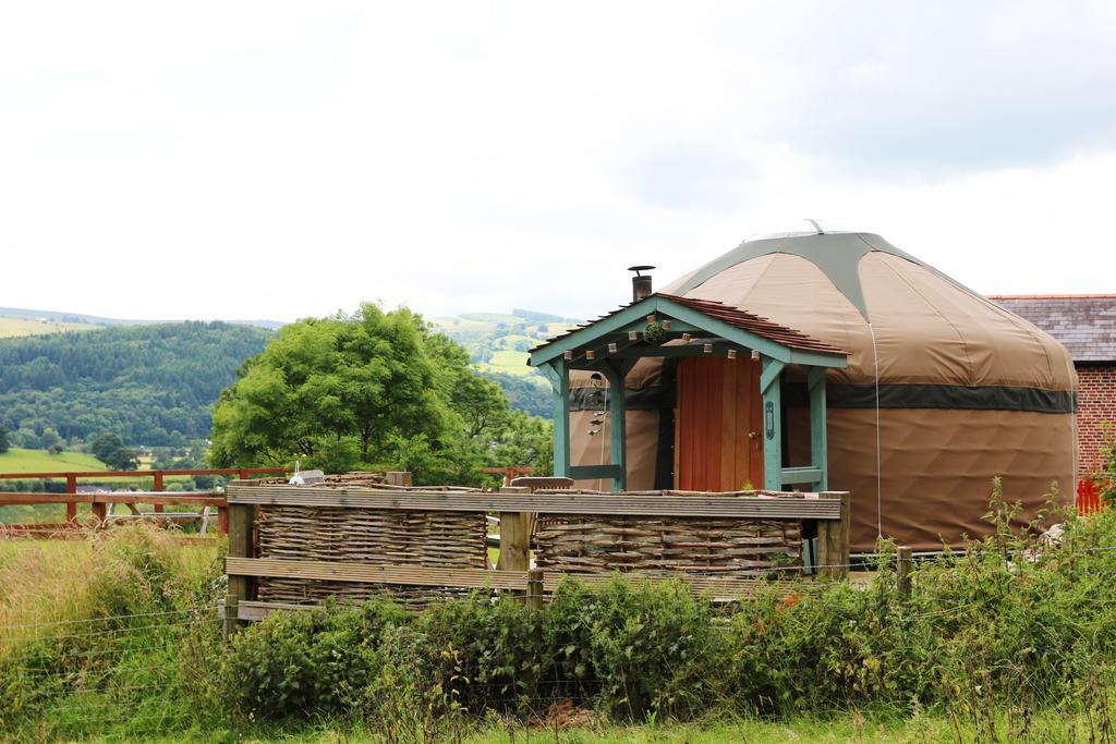 Sunbank Accommodation Лланголлен Экстерьер фото