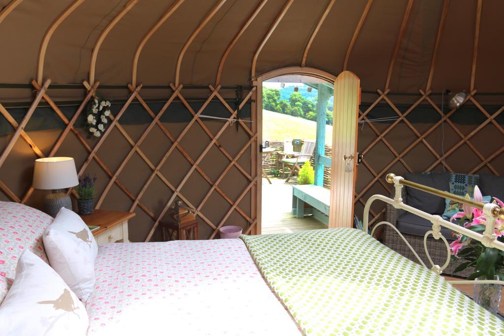 Sunbank Accommodation Лланголлен Экстерьер фото