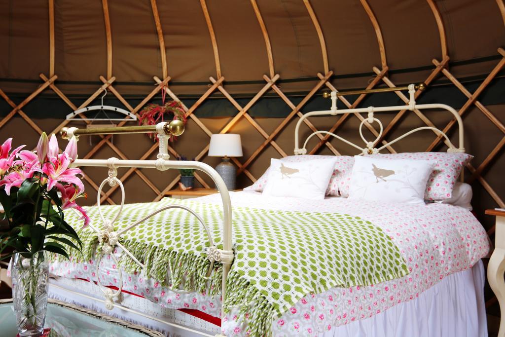 Sunbank Accommodation Лланголлен Экстерьер фото