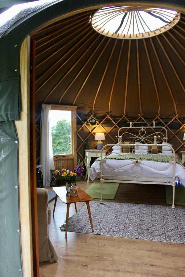 Sunbank Accommodation Лланголлен Экстерьер фото
